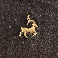 Capricorn Zodiac Astrology Pendant in 14 KT Yellow Gold - Caribbijou Island Jewellery